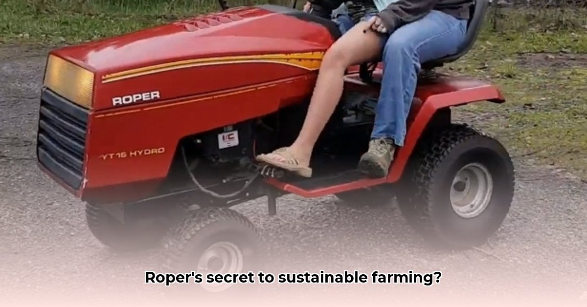 roper-lawn-tractor